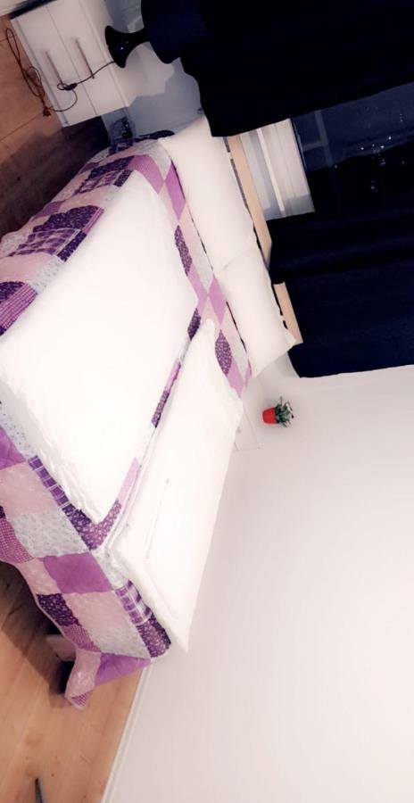 Sehr Schoene Drei Zimmer Deluex Wohnung In Зіндельфінген Екстер'єр фото
